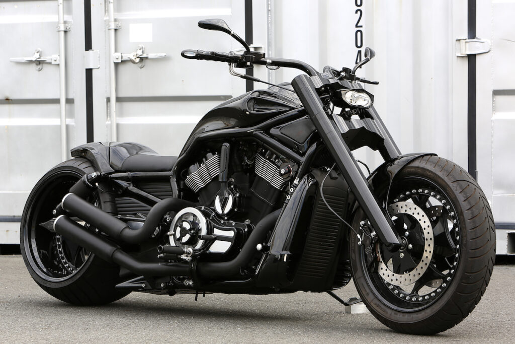 V-REX