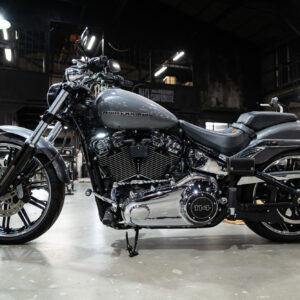 BL RomanTwist Shifter Rod